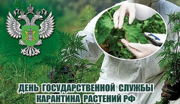 День основания Госслужбы карантина растений